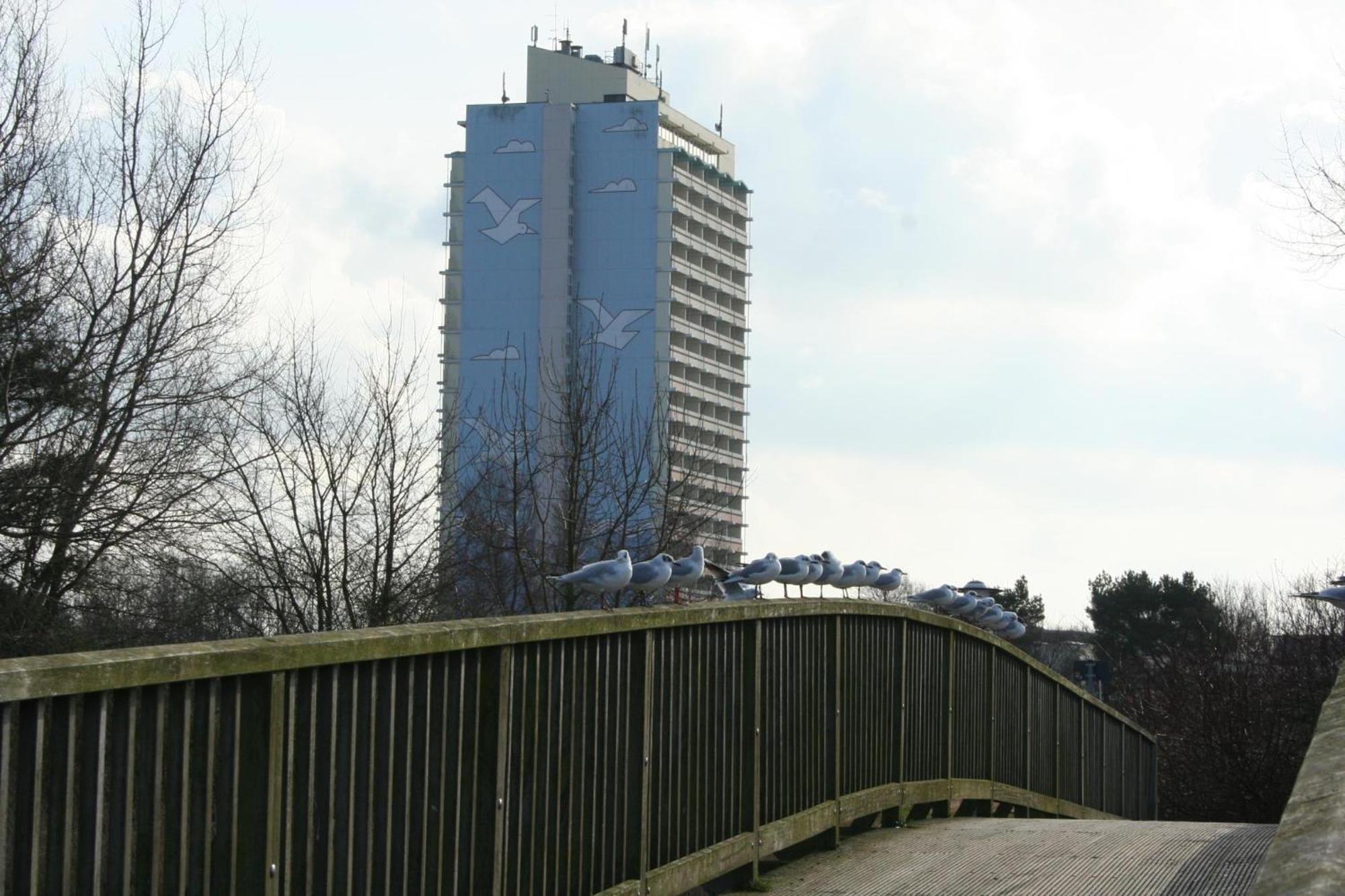 Ferienappartement K110 Fuer 2-4 Personen In Strandnaehe Brasilien Exterior photo